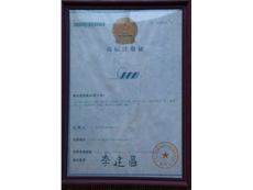 Trademark Registration Certificate