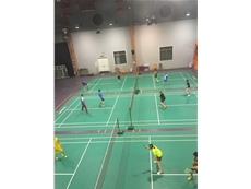 TheBadminton Match