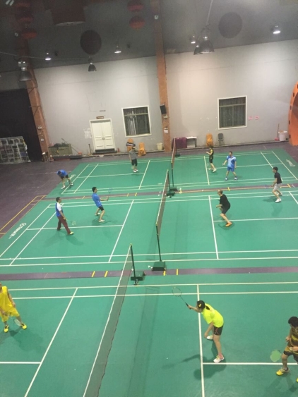 TheBadminton Match