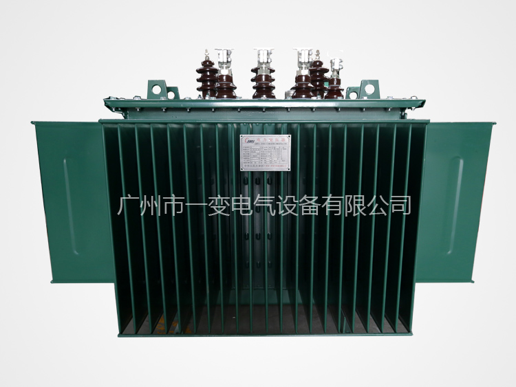 Oil - immersed power transformer