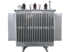 Oil - immersed power transformer