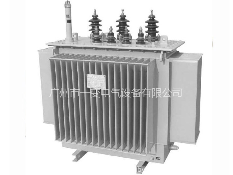 Oil - immersed power transformer