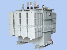 Oil - immersed power transformer